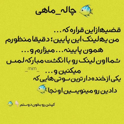 چاله ماهی