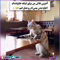 اینم راه خوبیه😁😁