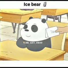 خرس قطبی سیگما🗿