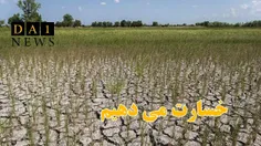 رئیس شعب بانک کشاورزی گلستان: خسارت‌های ناشی از خشك سالی 