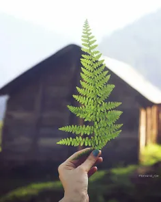 رسیدن قدم اول رفتنه. آدما نمیان که بمونن، اونا میان که به