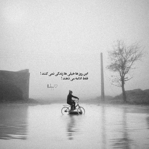 زیر خط فقر تو نان و پنیری خورده ای؟💔