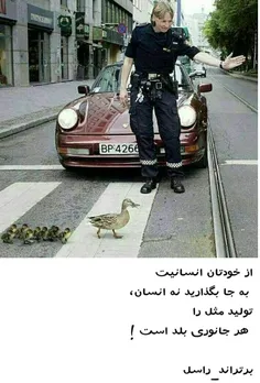 انسانم آرزوست...