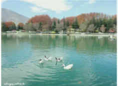 دریاچه کیو_خرم آباد
