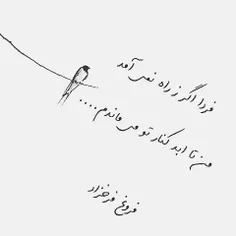 فردا زه راه می ایدو 