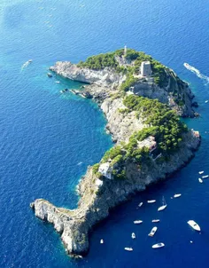 جزیره «لی گالی» در ایتالیا، که شبیه به دلفین است.