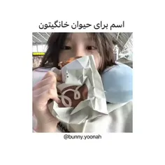 اسم برای حیوان خانگی😍😎