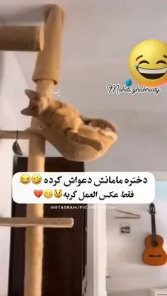 نیروی پشتیبانیهههه🥺😍😂😂😂