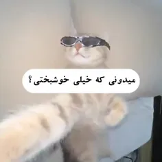 ولی من مال هیچکسی نیستم😶‍🌫️👍