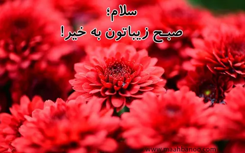 یک روز پر انرژی