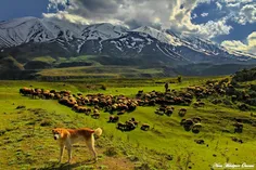 طبیعت زیبا از کوه (دلارستاق)
