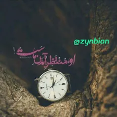 🎀 🍃  #زیــنـبـیــــون🍃 🎀 