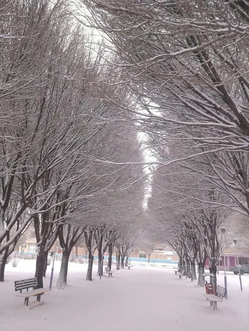 نمای از پارک شهرمان