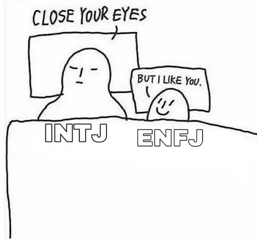 ENFJ x INTJ