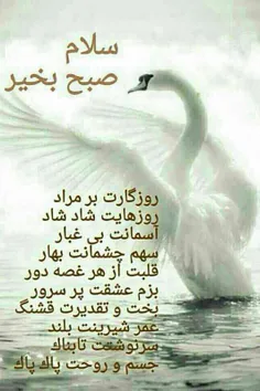 سلام صبح بخیر