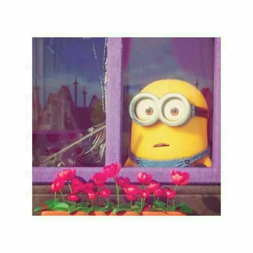 minion♥