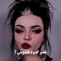 فندوم 