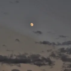 بچه هااااا خودم این عکسارو گرفتم