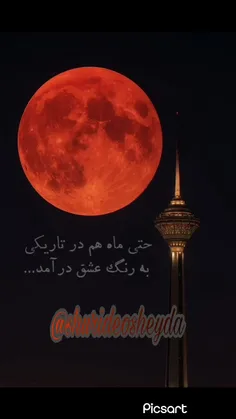 ‌‌‎‌‎‎‎‎‌همیشه هم دنیا بد نیست...