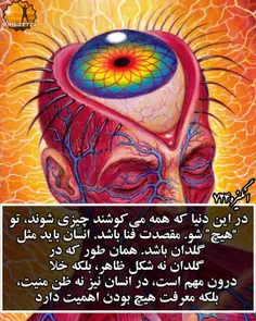 شخصی meisam_432hz 32720135