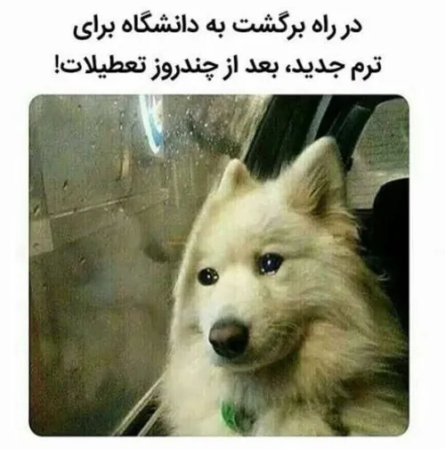 ای جونم