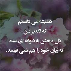 کاشکی زود میفهمیدیم