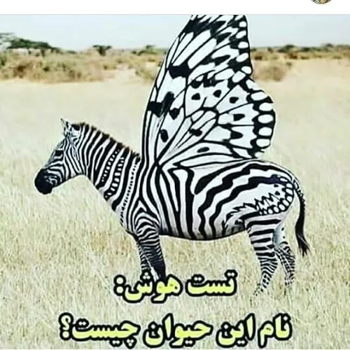  aarezayy 37664985 - عکس ویسگون