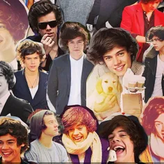 harry styles
