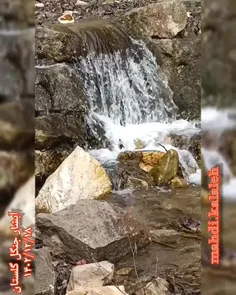 آبشار جنگل گلستان