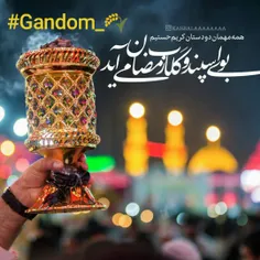 #Gandom_🌾