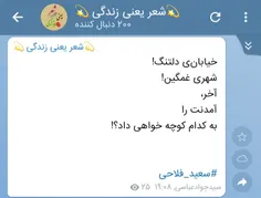 سعید فلاحی (زانا کوردستانی)