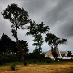 #dailytehran #Northofiran #villa #trees #sky #skyporn #cl