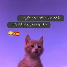 😂✨🤝این دیگه ته حق بود! 