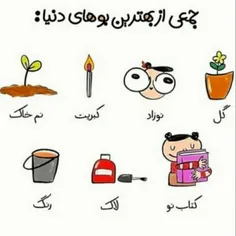 کدوم بهتره