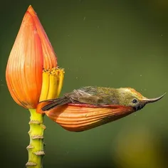 بیخیالی محض😍👍