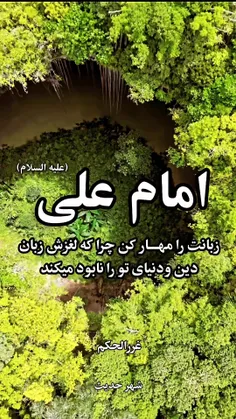 امام علی علیه السلام 