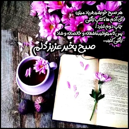 صبحت بی نظیر بهار جان