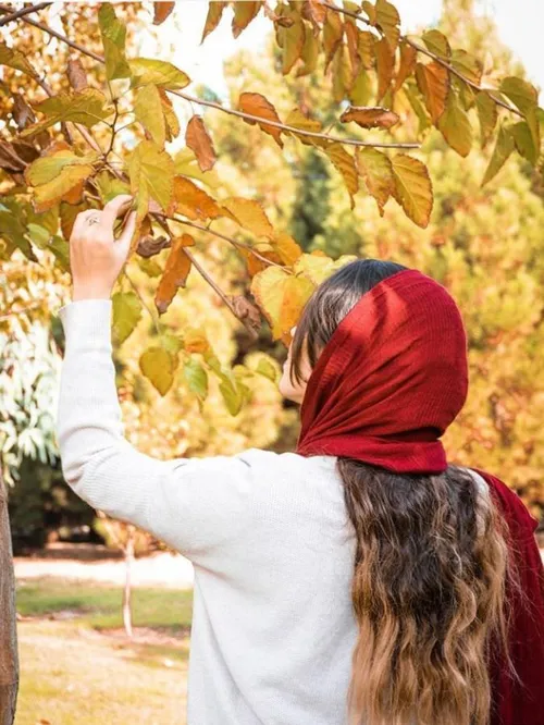 نیمی از گلایه ها زمانی تمام می شود