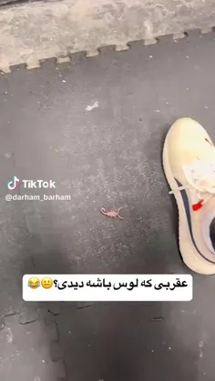 قهر نکن