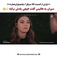 هالیس عذرخواهی نکرد شاکا