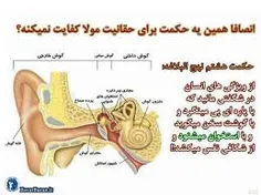 استخوان گوش...