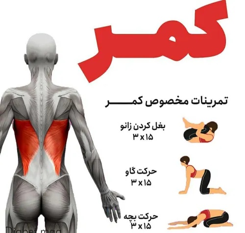 ورزش همگانی parastooo4566 31297147 - عکس ویسگون