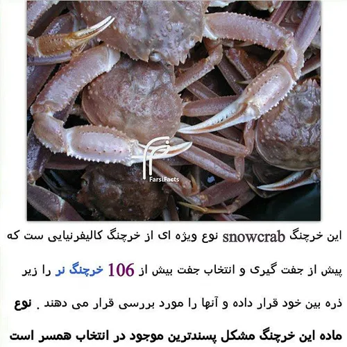 crab naturefarsifacts