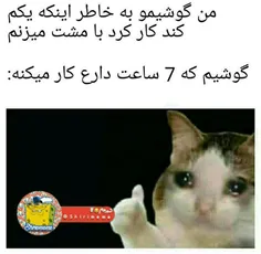 اره باو اوکیه🥲😭