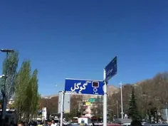 شرکت بین المللی که دفتری تو ایران نداره