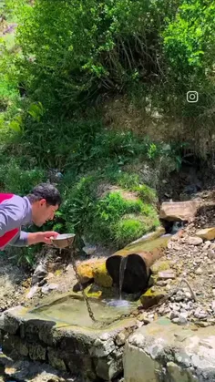 رفیق خیلی مردی