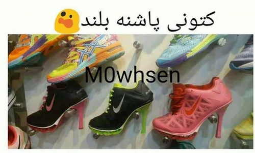 خخخه