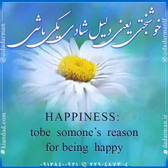 🍃 #خوشبختی یعنی دلیل #شادی یکی باشی🍃 