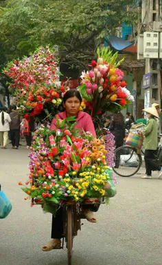 گل فروشی با دوچرخه، هانوی، ویتنام