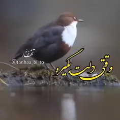 تازه میفهمی که هیچکس رو نداری باهاش دردودل کنی